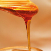 Article 38 : Le miel, un aliment vivant
